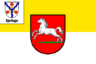 [German Party, Springe Local Unit Flag (Germany)]